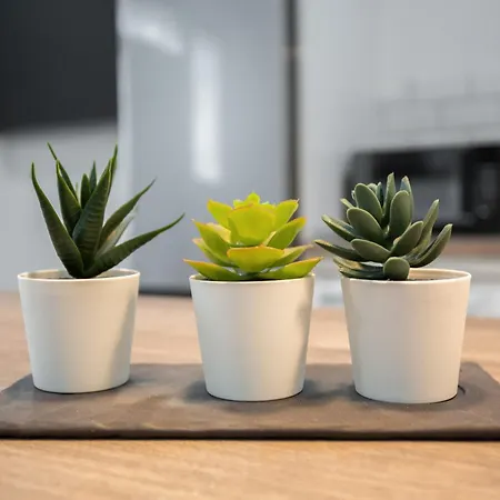 Isleta Vacacional Apartment