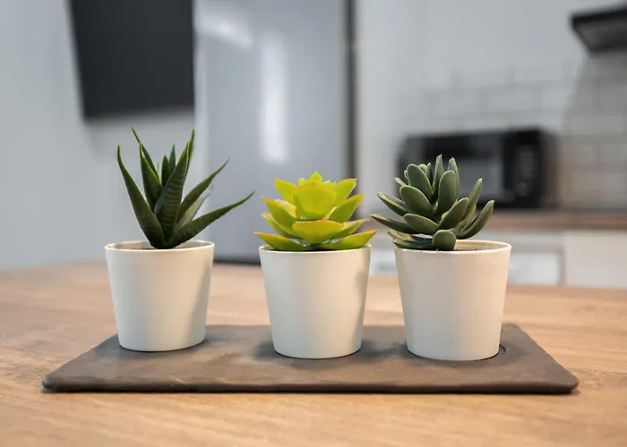 Isleta Vacacional Апартаменты